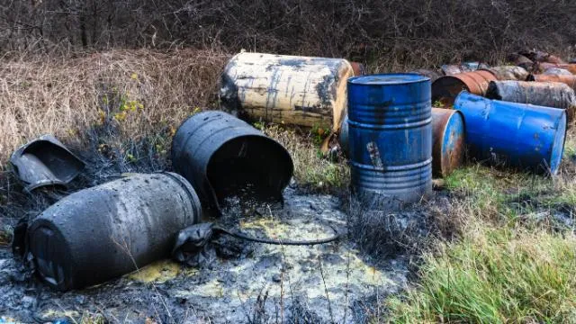 Environmental Awareness (Bundle)