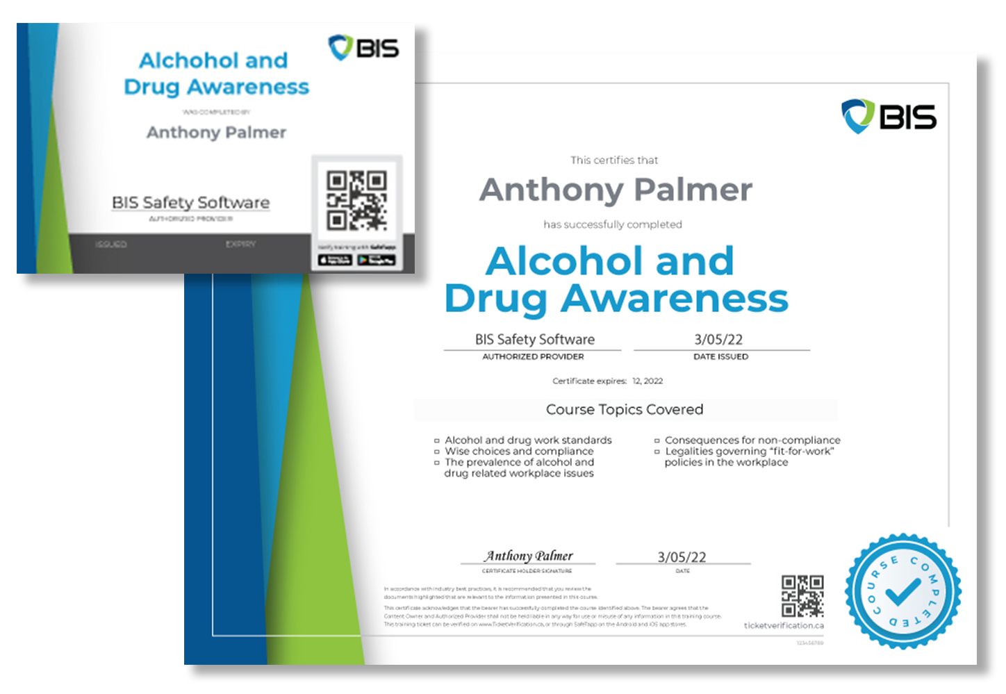 Alcohol and Drug Awareness Training BIS Safety Software