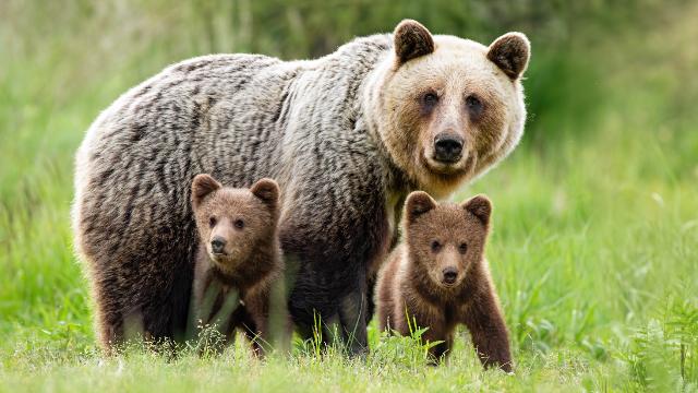 defensive driving training