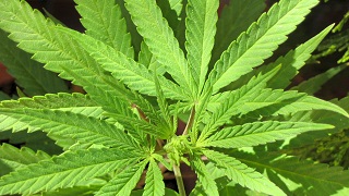 defensive driving training