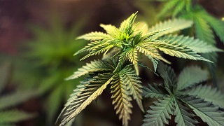 defensive driving training