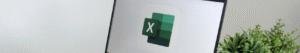 Microsoft Excel Essentials training
