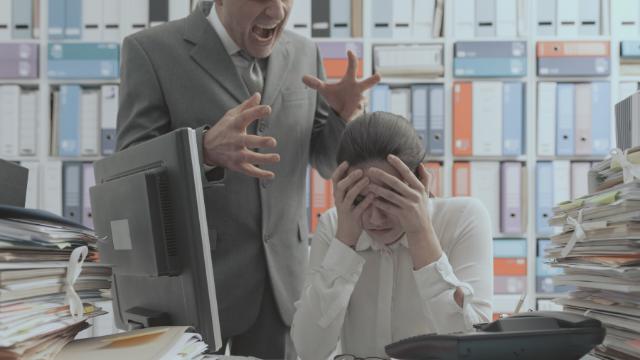 Bullying & Other Disruptive Behavior: for Employees