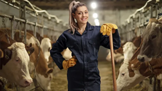Dairy Workers: Animal Handling and Health