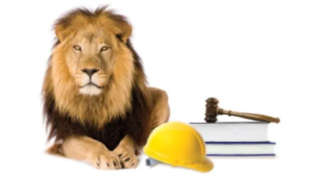 Construction Law