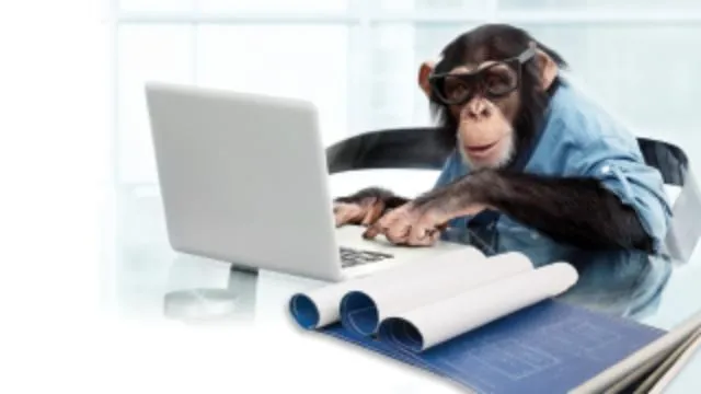 Construction Business Management