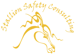 Stallion Safety