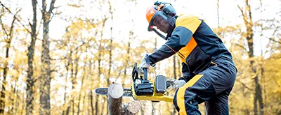Chainsaw Safety (Ontario)